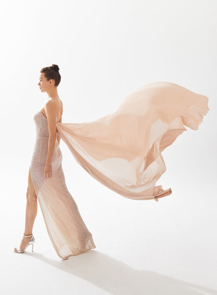 Zoe tulle outlet gown