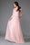 Sleeves Chiffon Mother of the Bride Evening Gown AC7043