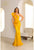 Terani 251E4578 One Shoulder Fitted Gown