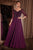 A-line Classy Long Sleeves Chiffon Evening Dress La Divine CD0171