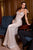 Metallic Silver Fitted Embellished Gown  CD754