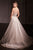 Crystal Embellished Gown with Overskirt La Divine CD763