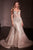 Crystal Embellished Gown with Overskirt La Divine CD763