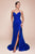 Strapless Fitted Prom Dress CD791A