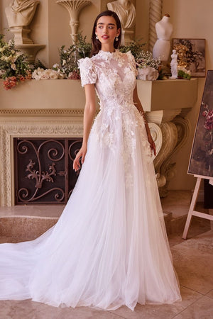 Two Looks in One Wedding Dress WL040