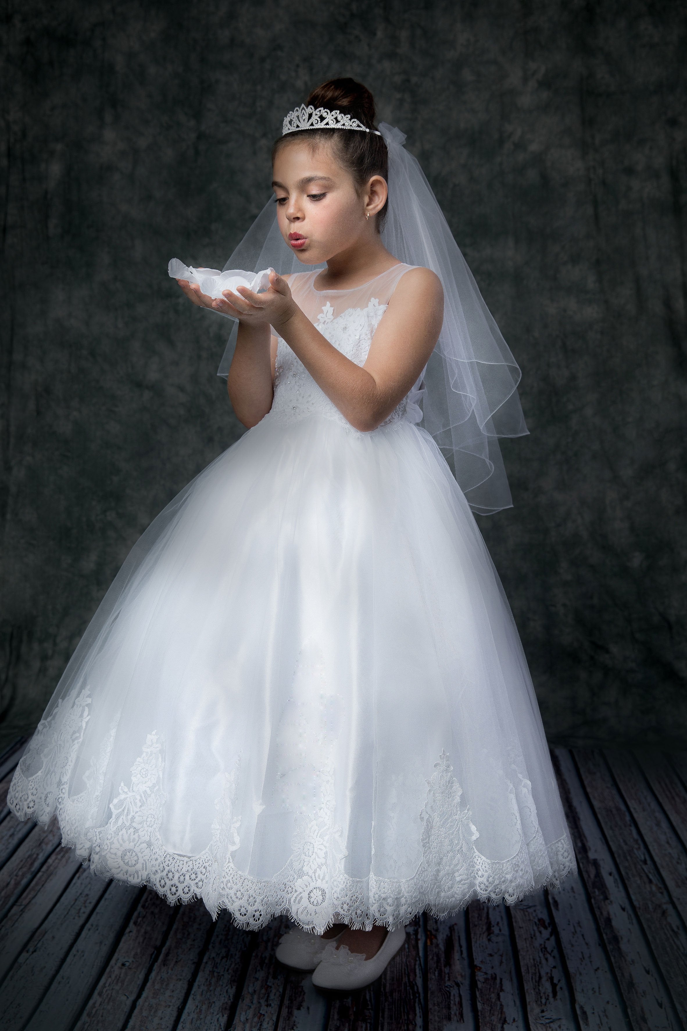 Lace Tulle Illusion Neckline First Communion Flower Girl Dress – Sparkly  Gowns
