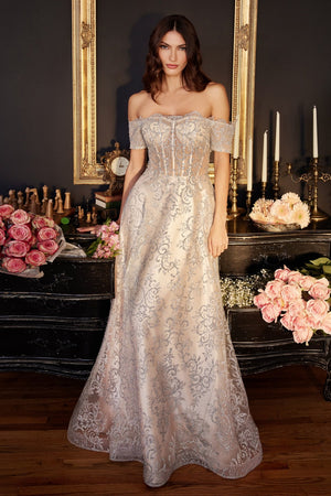 Glitter Appliques Off The Shoulder A-Line Long Gown J835